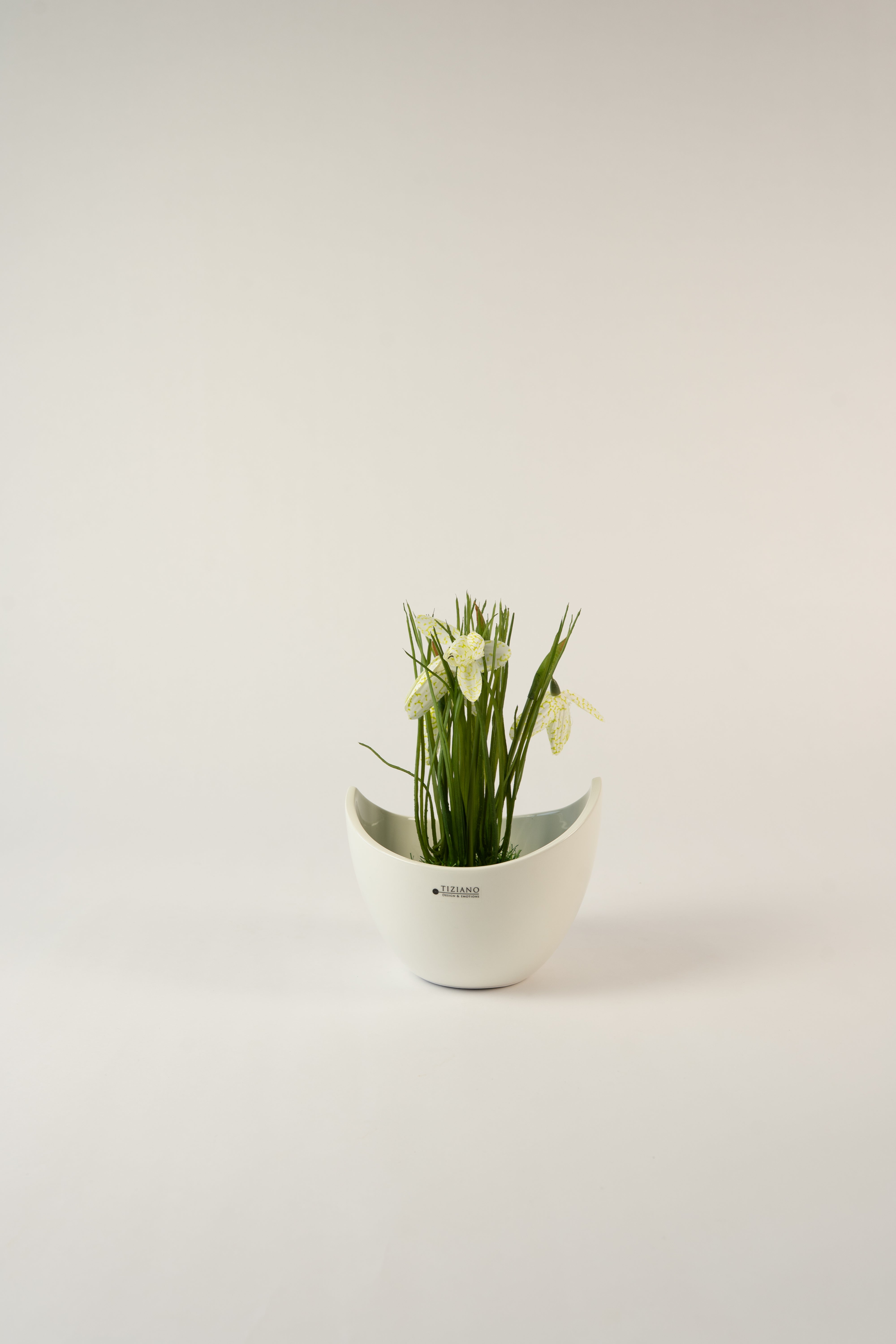 Dekoset Frühlingsharmonie XL Solina+Joy