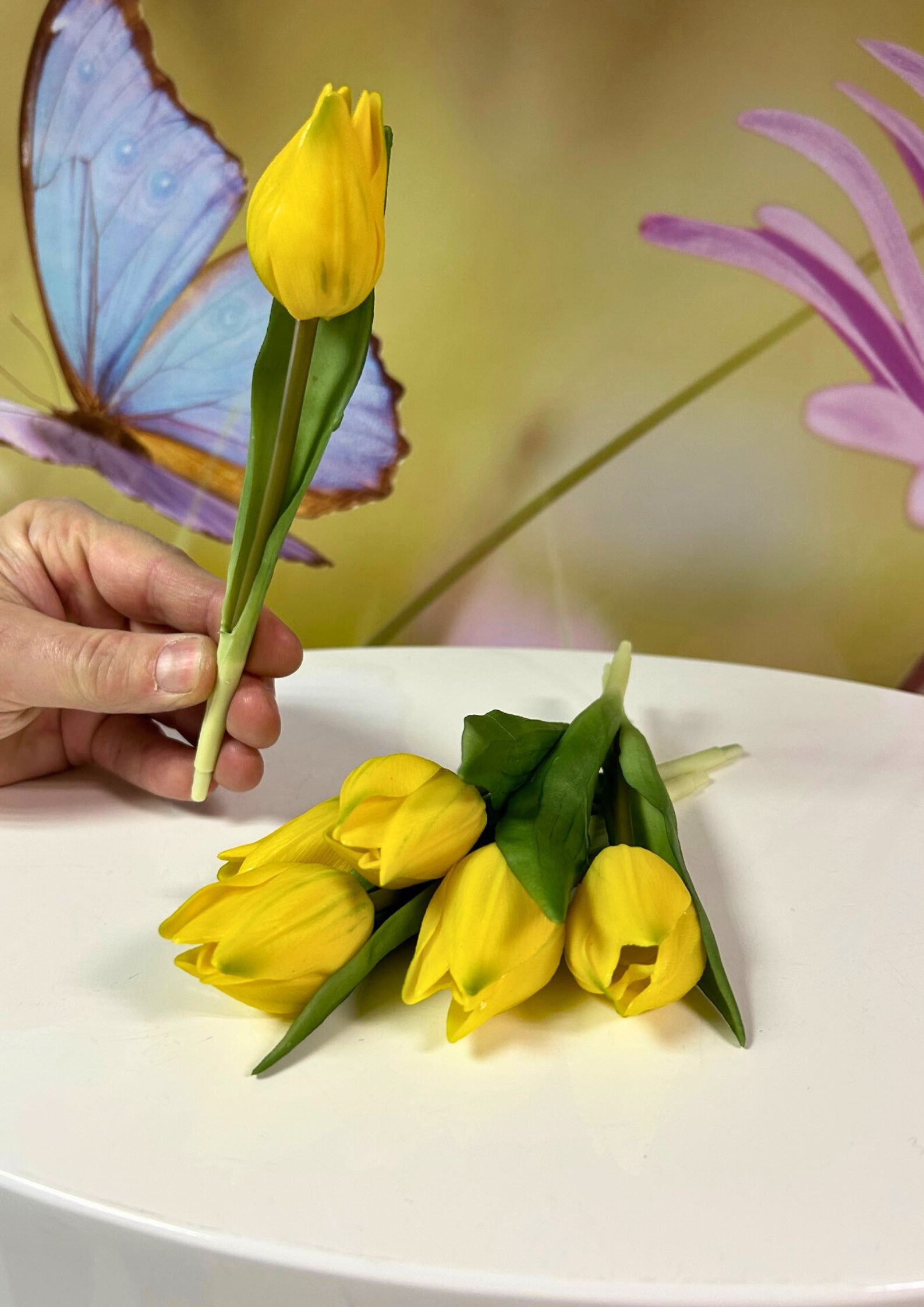 6er-Bund-Tulepn-Gelb