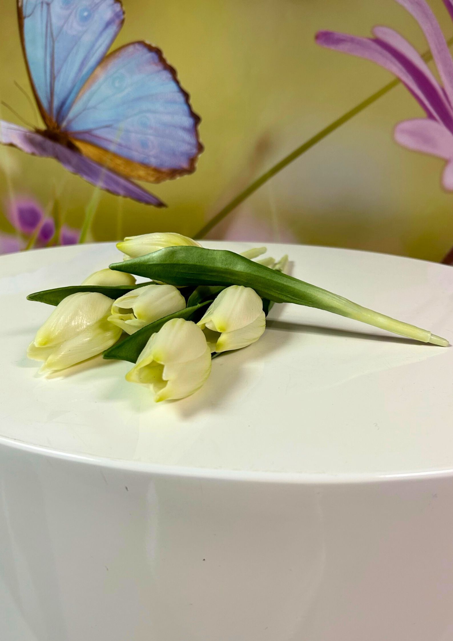 6er-Bund-Tulepn-creme