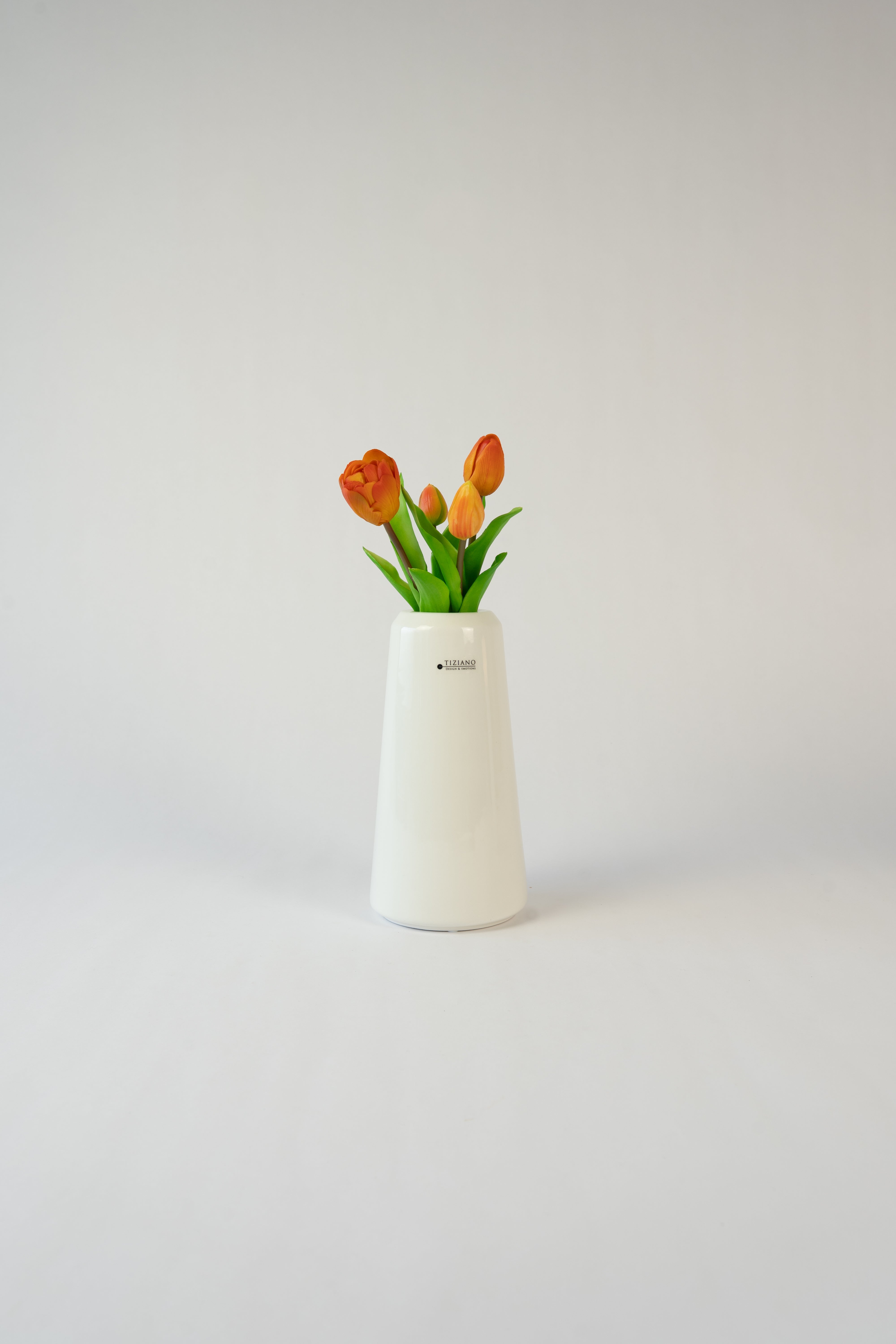 Dekoset Vogel Splendido+Vase Luminara