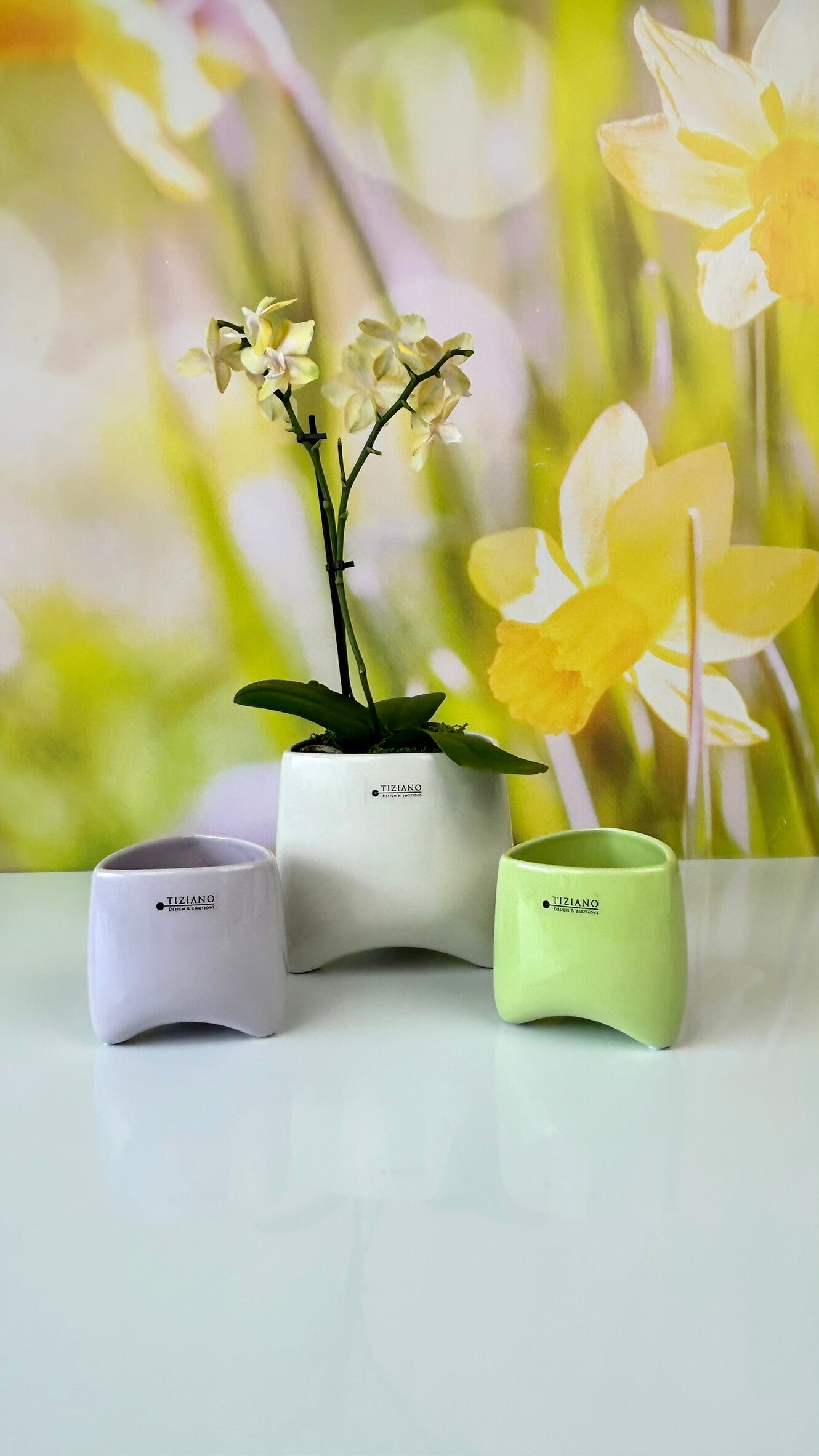 Kübel Triangolo grün