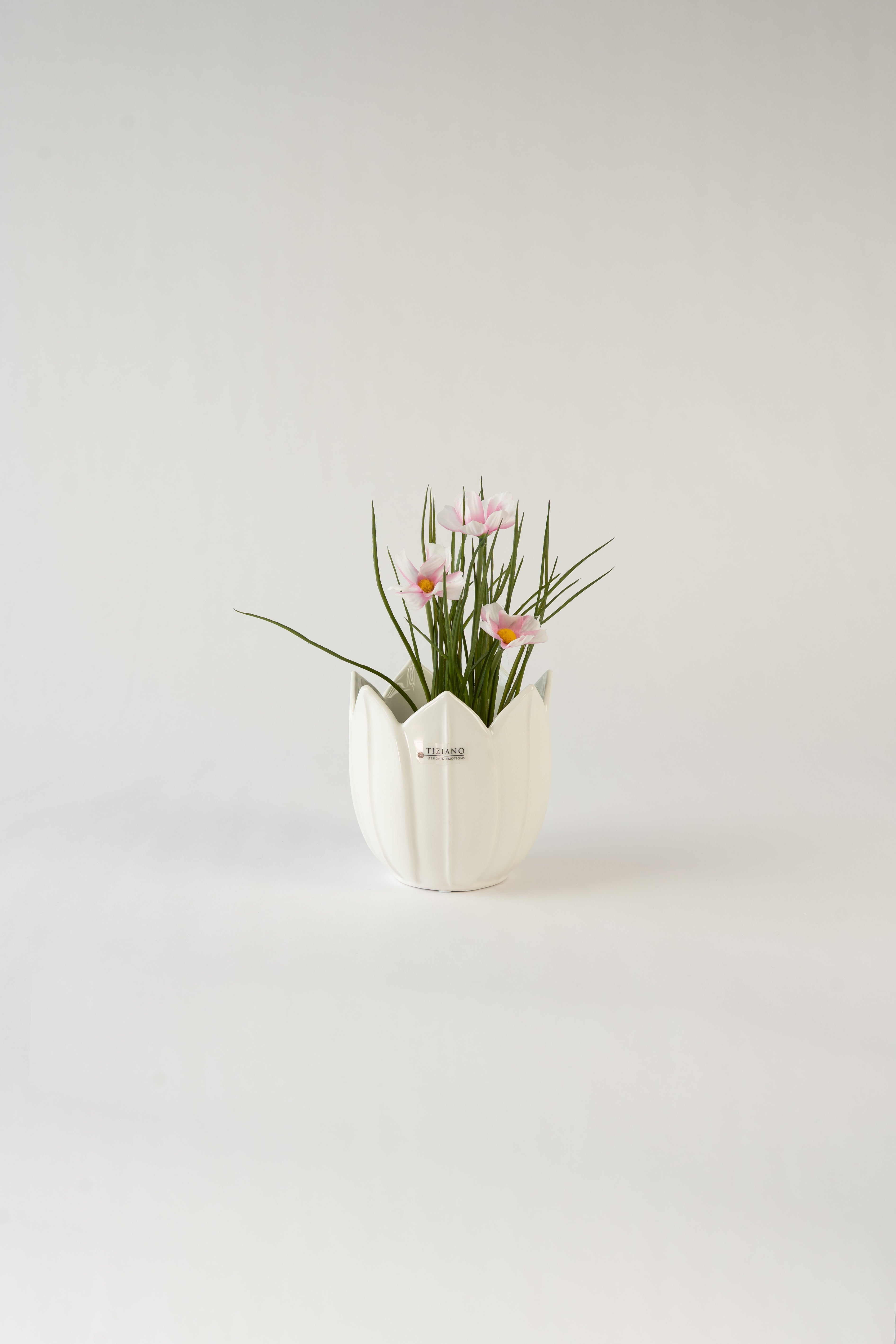 Dekoset Schwanengesang