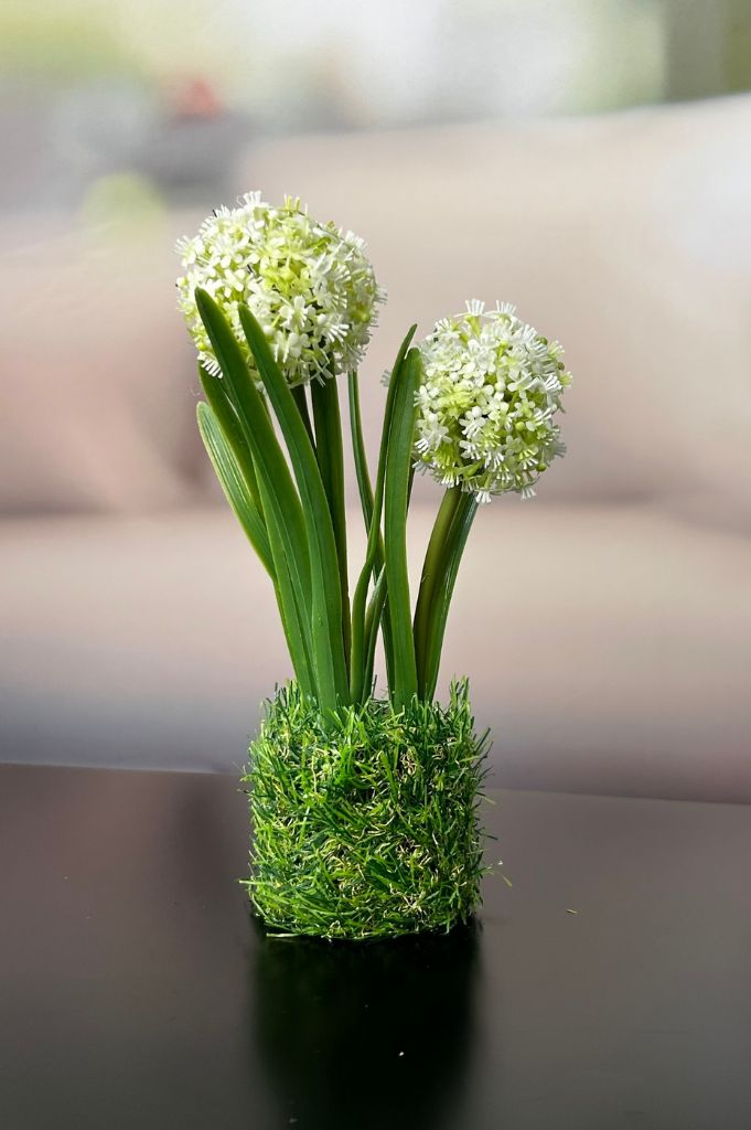 Allium_gelb