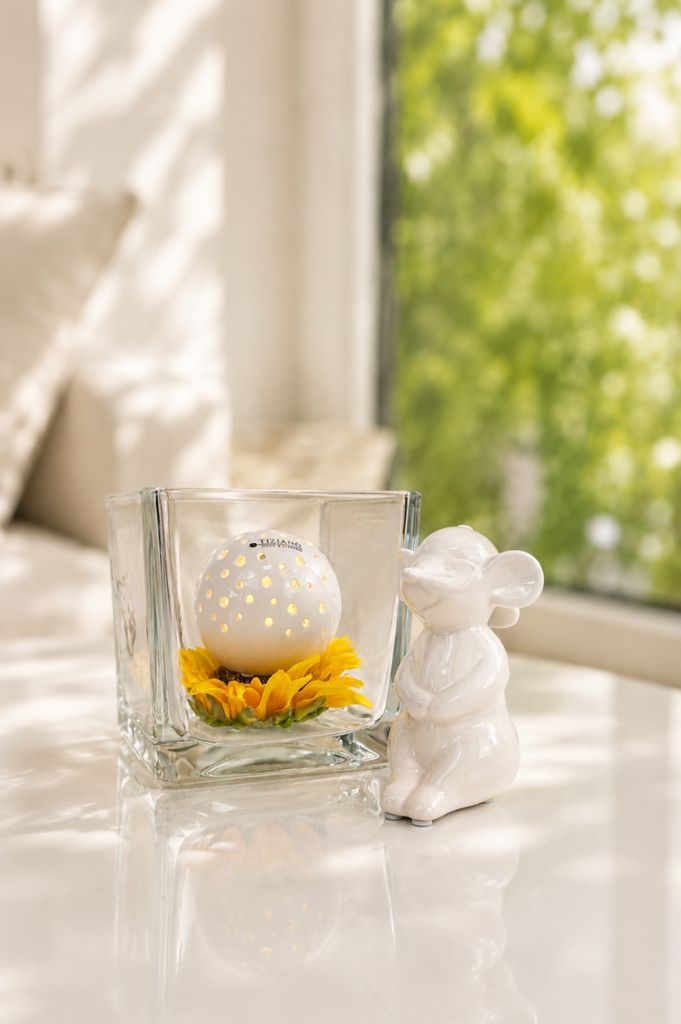 Dekoset Glas Alone mit Lichtkugel Padova + Maus Topo