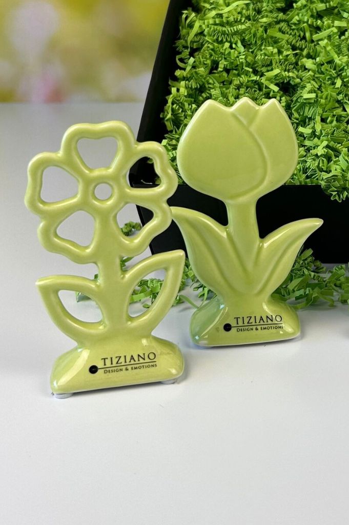 Blume Mesola 12cm grün