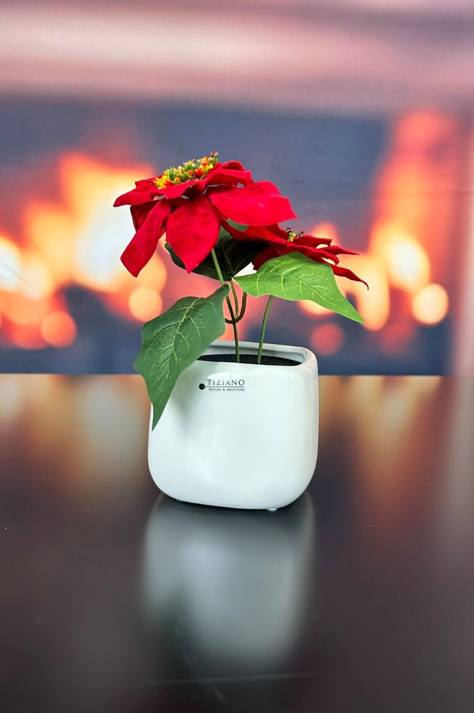 Kübel Brezone creme