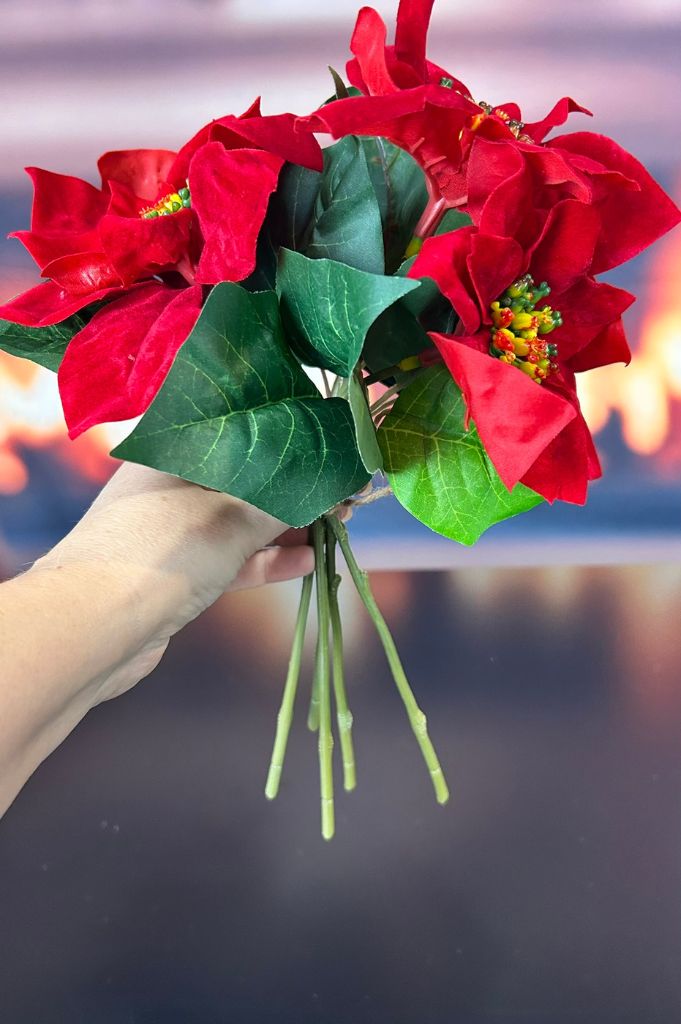 Deko Christstern Bündel rot