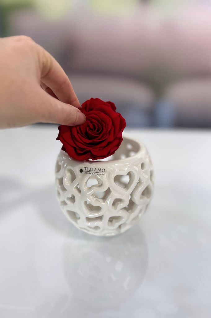 Dekoset Tischlicht Cretone+Infinity Rose rot