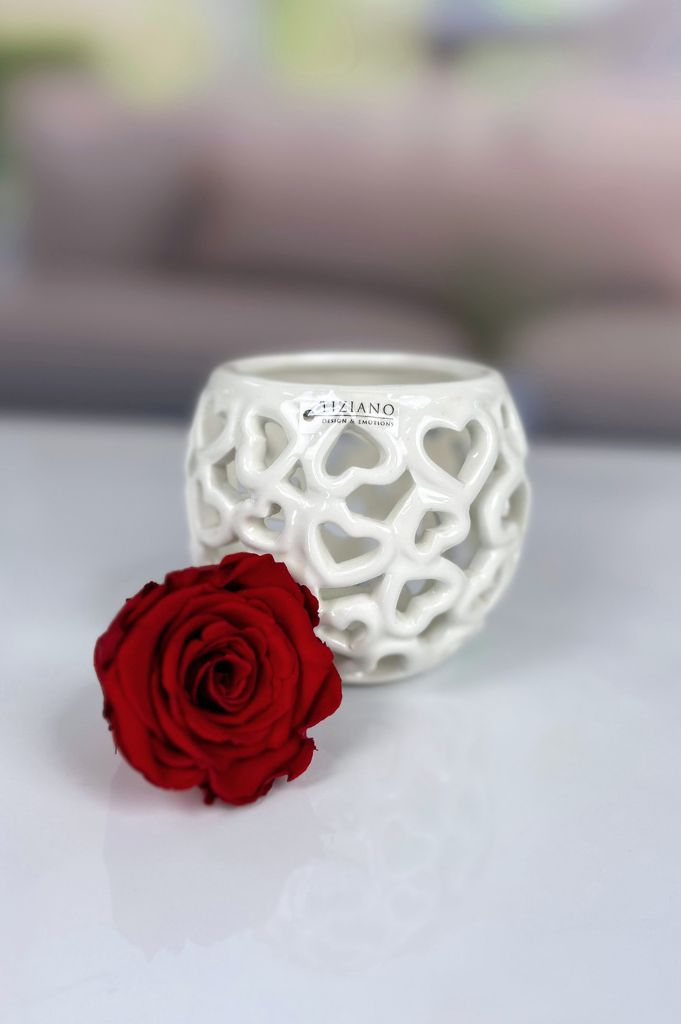 Dekoset Tischlicht Cretone+Infinity Rose rot