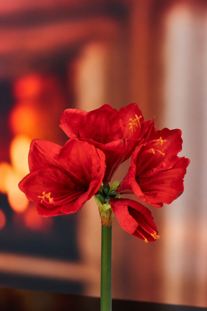Deko Amaryllis 75cm rot Real touch