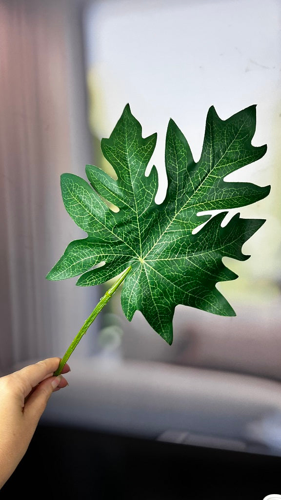 Deko Aralien Blatt grün