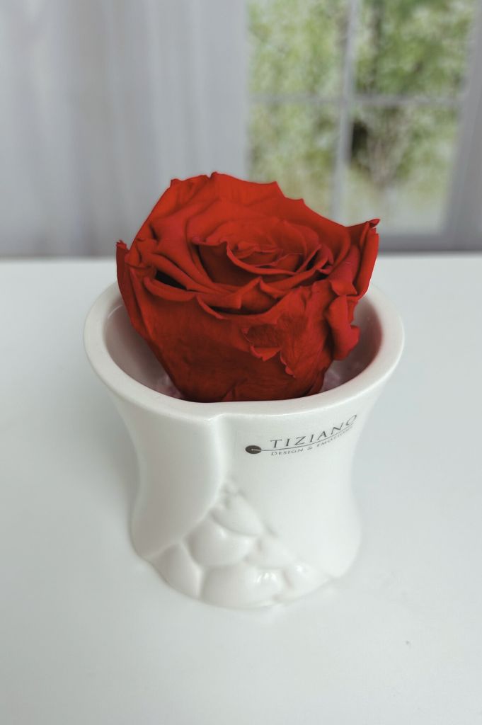 Dekoset-Mini-Blumentopf-Stellina-Infinity-Rose-rot