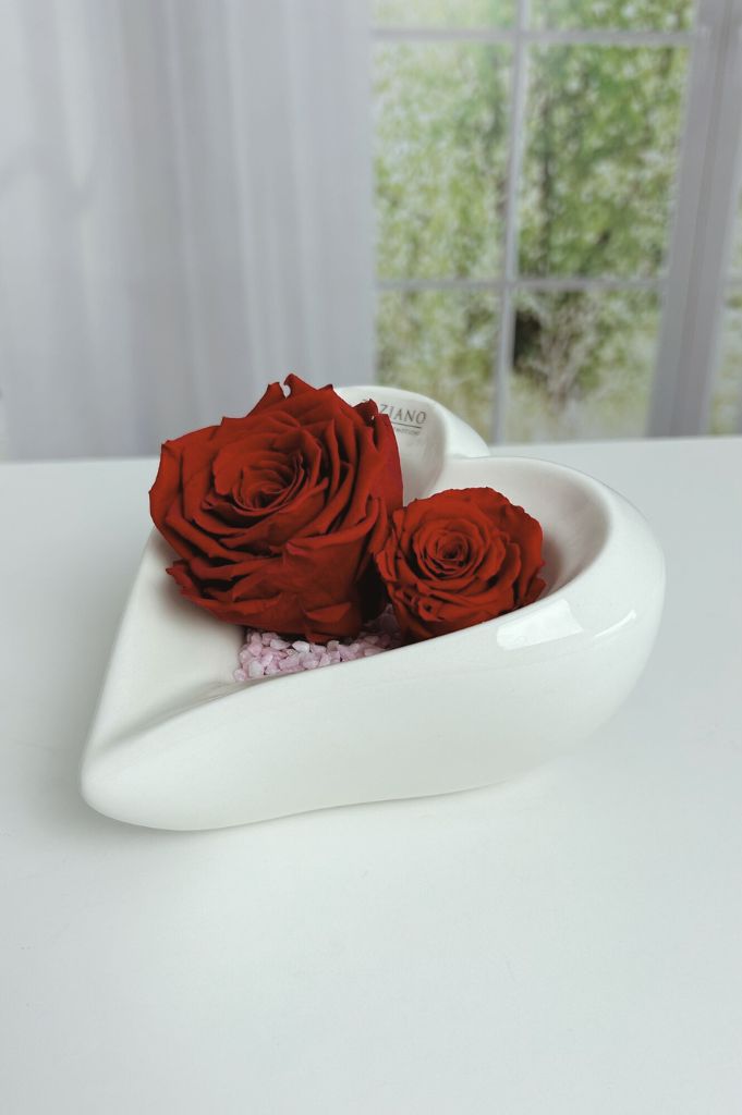 Dekoset-Schale-Cuora-tief-Infinity-Rosen-rot