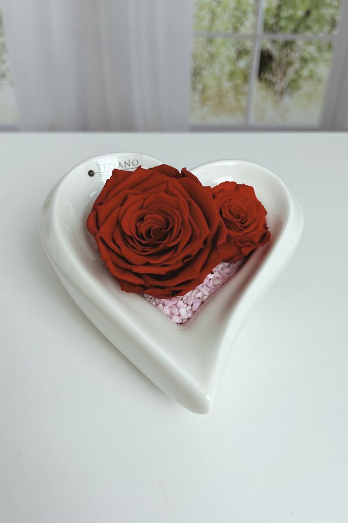 Dekoset-Schale-Cuora-tief-Infinity-Rosen-rot