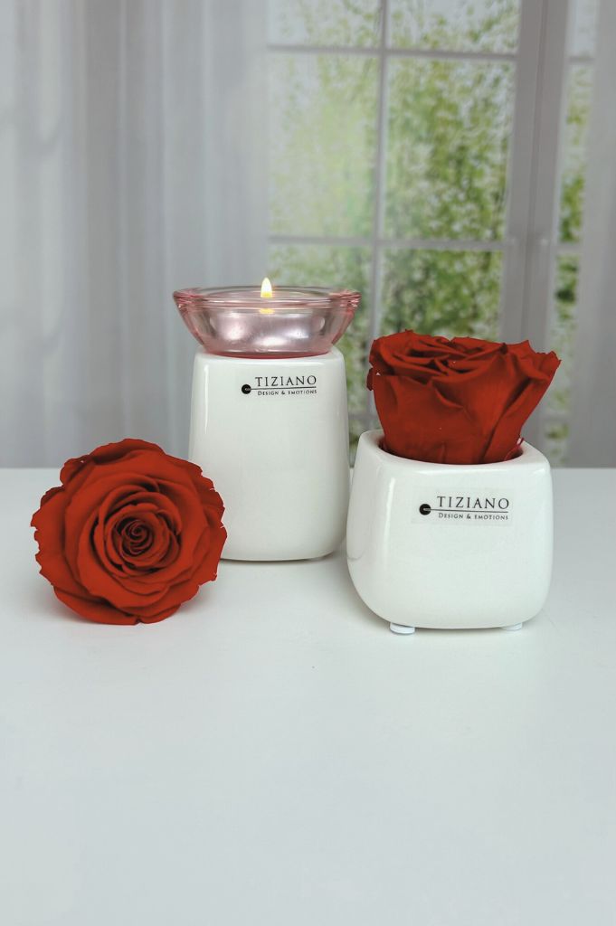 Dekoset-Teelicht-Brezone-mit-Infinity-Rose-rot