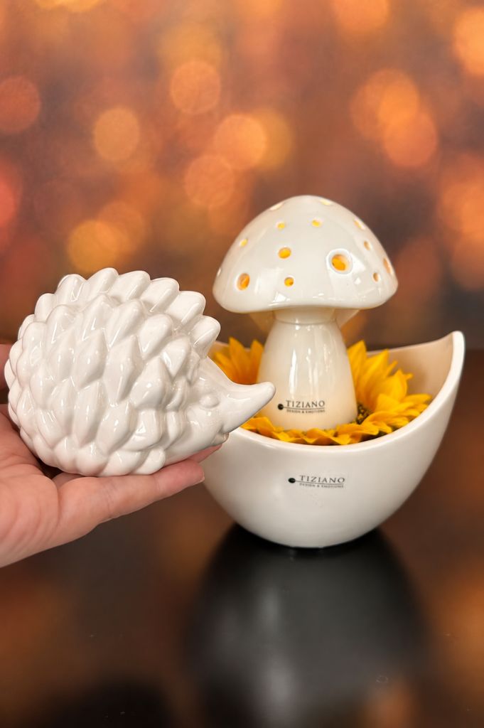 Dekoset Schale Arco+Pilz Niara LED+Igel Max creme-weiß
