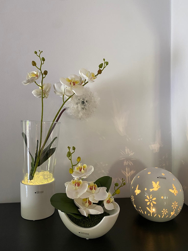 Dekoset Windlicht Laterna+Schale Piceno+LED Polline