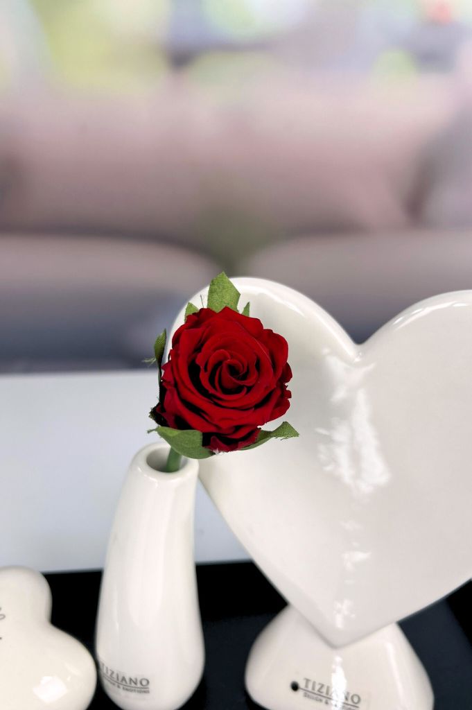 Dekoset Metallschale Legri+Torano mit Rose rot+Herz Amato