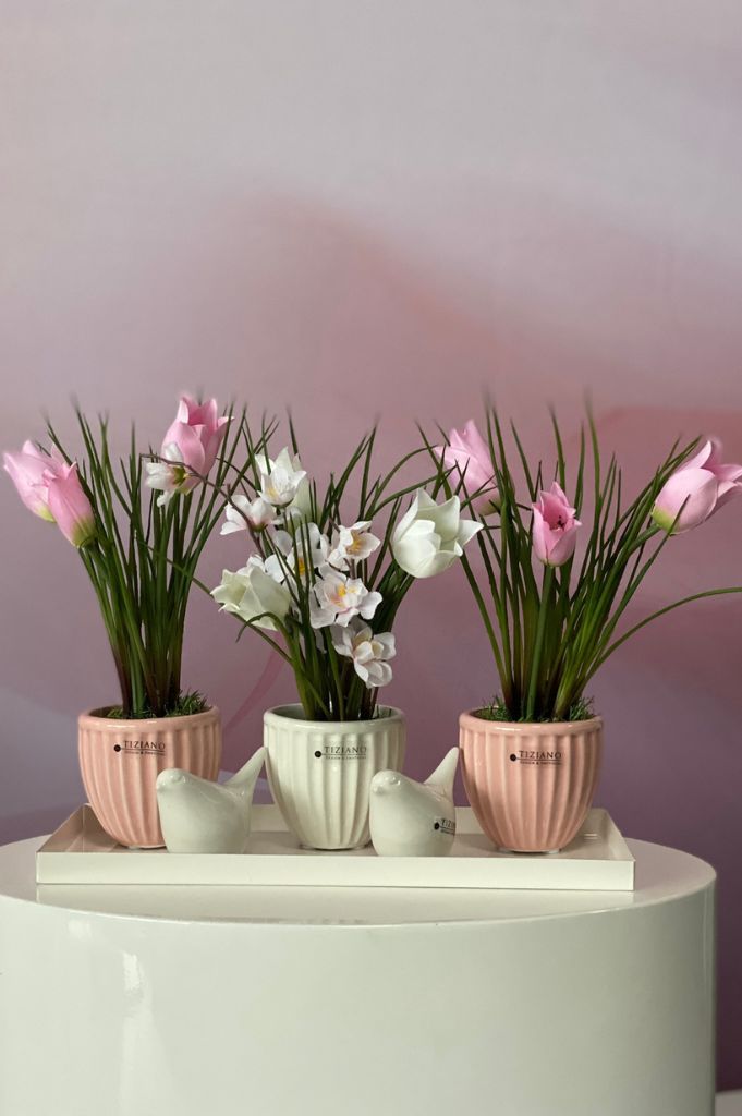 Dekoset Minikübel Prisma auf Legri