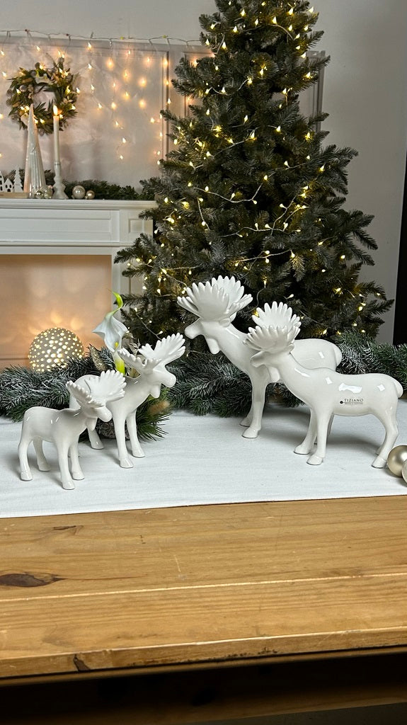 Elch_Elcino_Gruppenbild