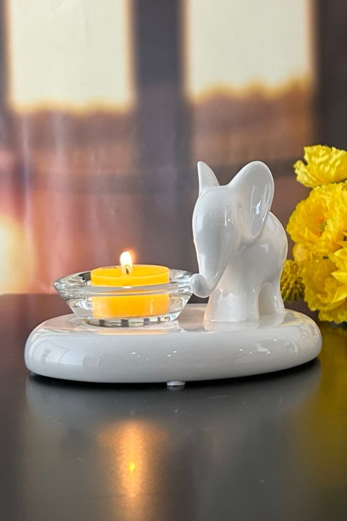 Elefant Leon mit Trixy gerade