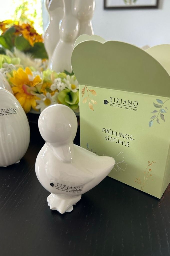 Ente Daffy stehend Geschenkbox