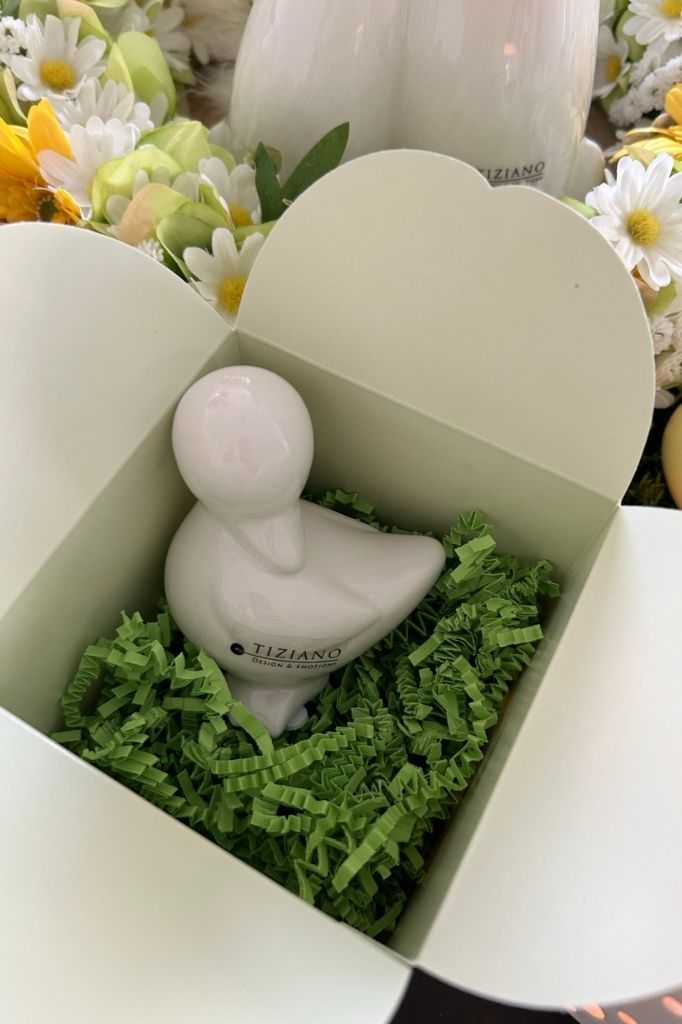 Ente Daffy stehend in Box