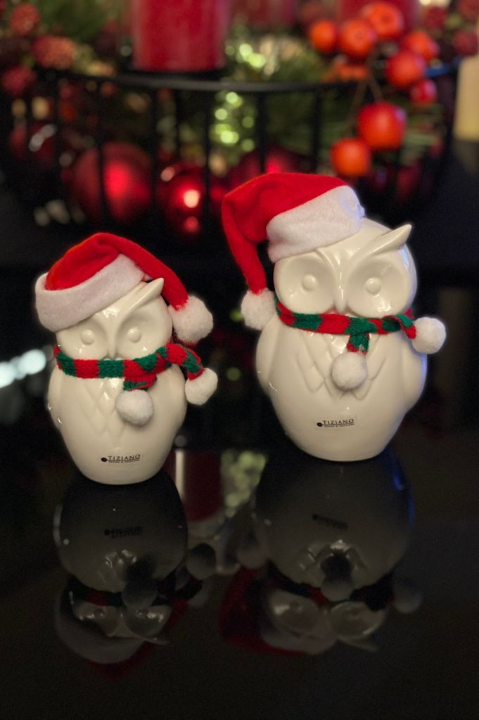 Dekoset Eule Aurelia mit Nikolausmütze und Schal