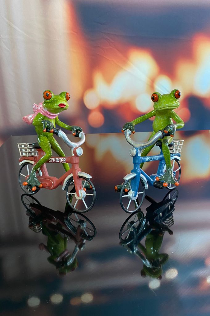 Würfelbox Für Dich mit Frosch auf Fahrrad
