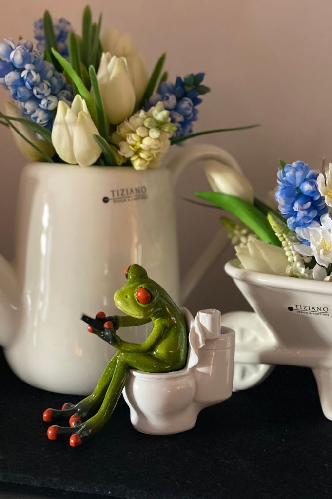 Deko Frosch Fridolin auf Toilette mit Handy hellgrün