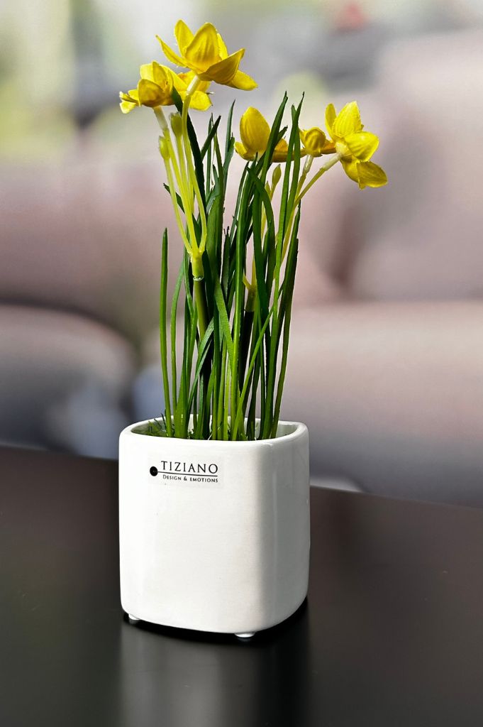 Frühlingsblüher_gelb_2