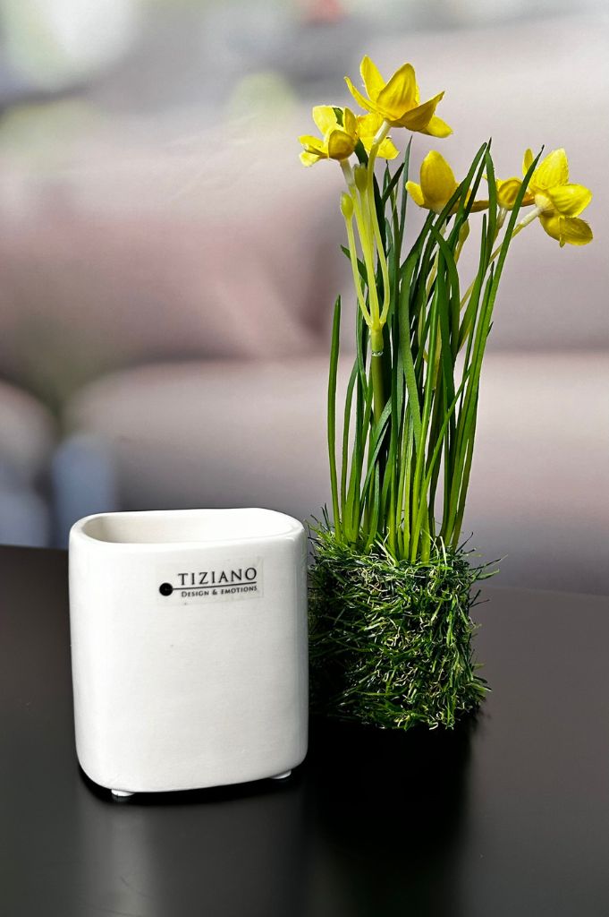 Frühlingsblüher_gelb