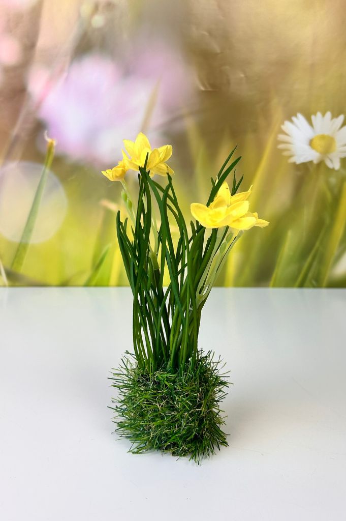 Frühlingsblüher gelb auf Grassockel