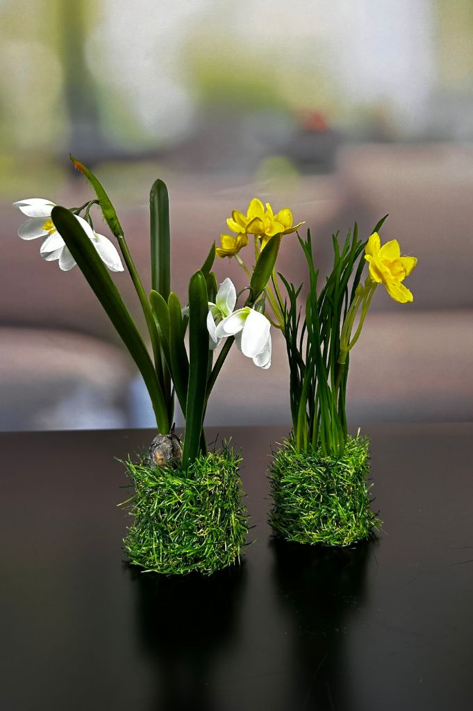 Frühlingsblüher_gemischt