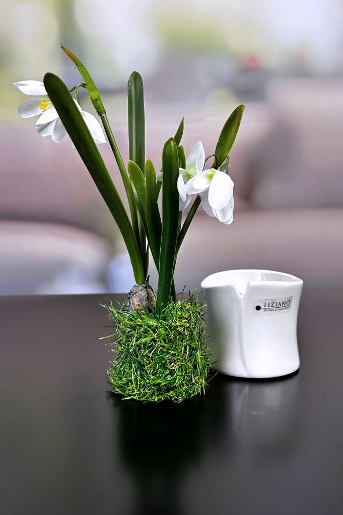 Frühlingsblüher_weiß