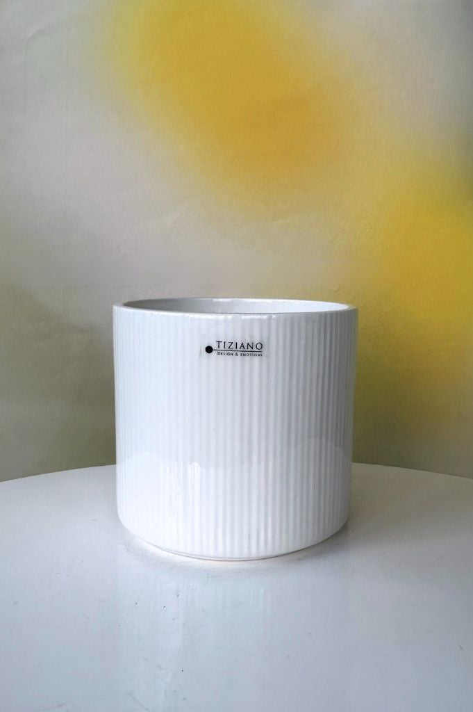 Orchideenkübel Galla 14cm creme-weiß