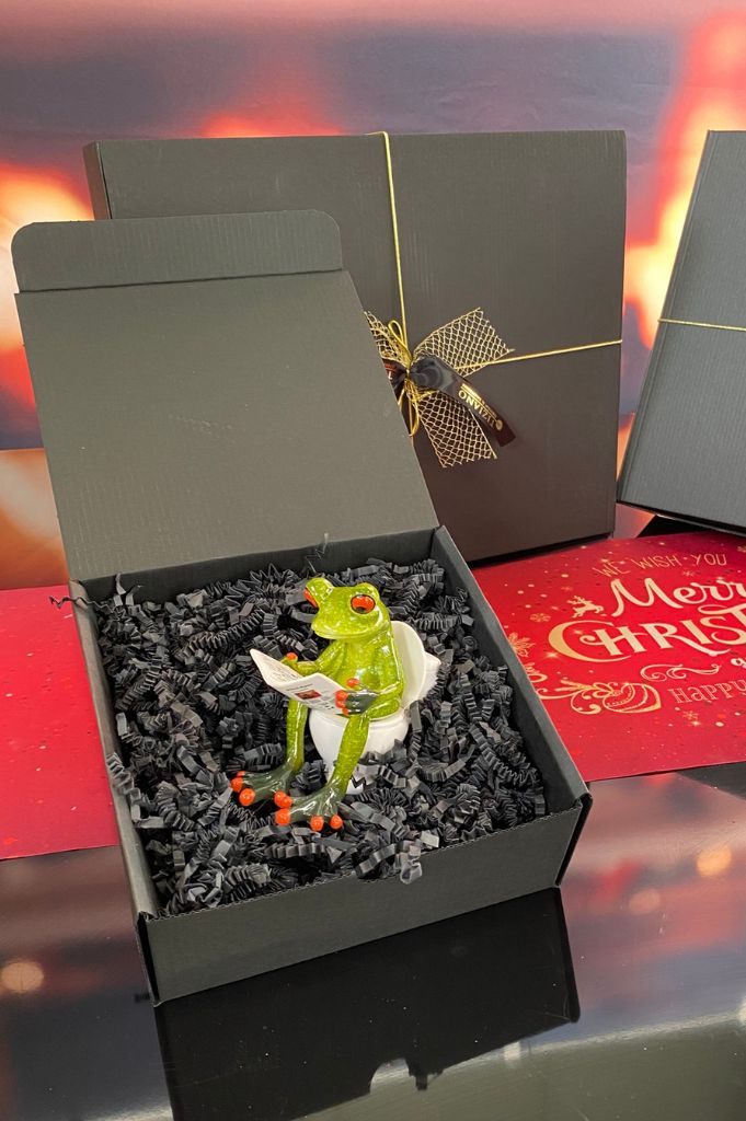 Geschenkbox Dekobox Frosch sitzend auf Toilette grün