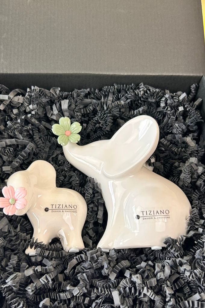 Geschenkbox Leon sitzend mit grüner Blume und stehend rosa