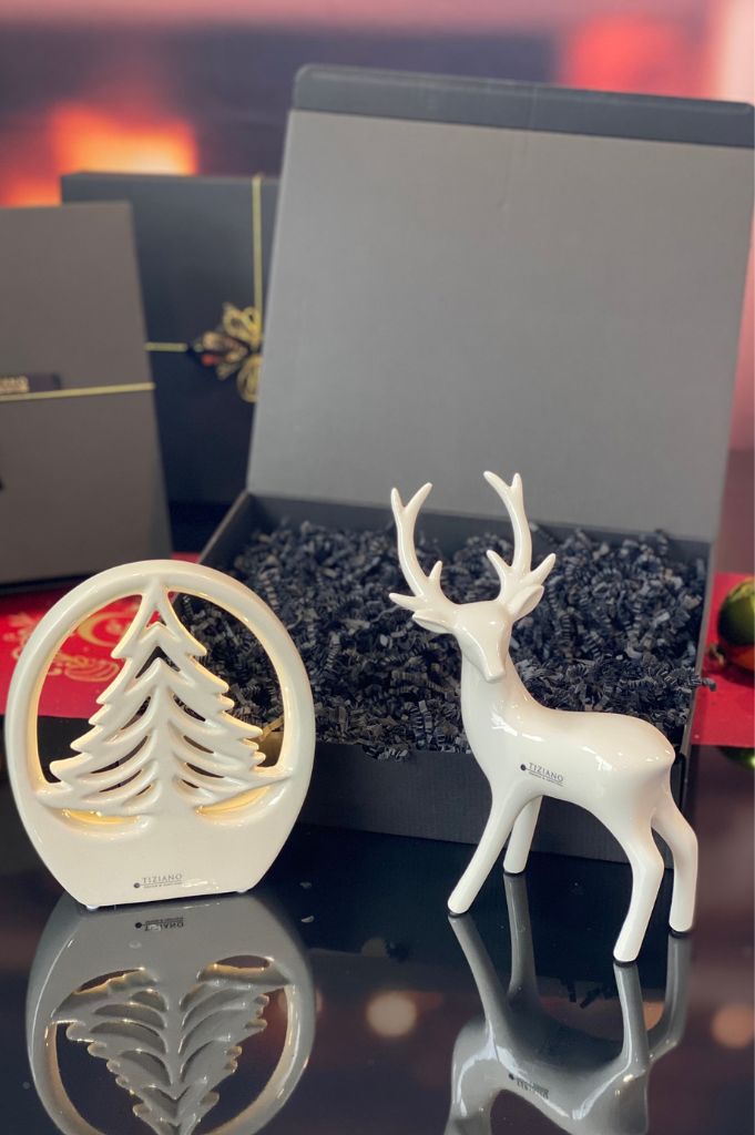 Geschenkbox Dekobaum Joya im Ring+Hirsch Riola