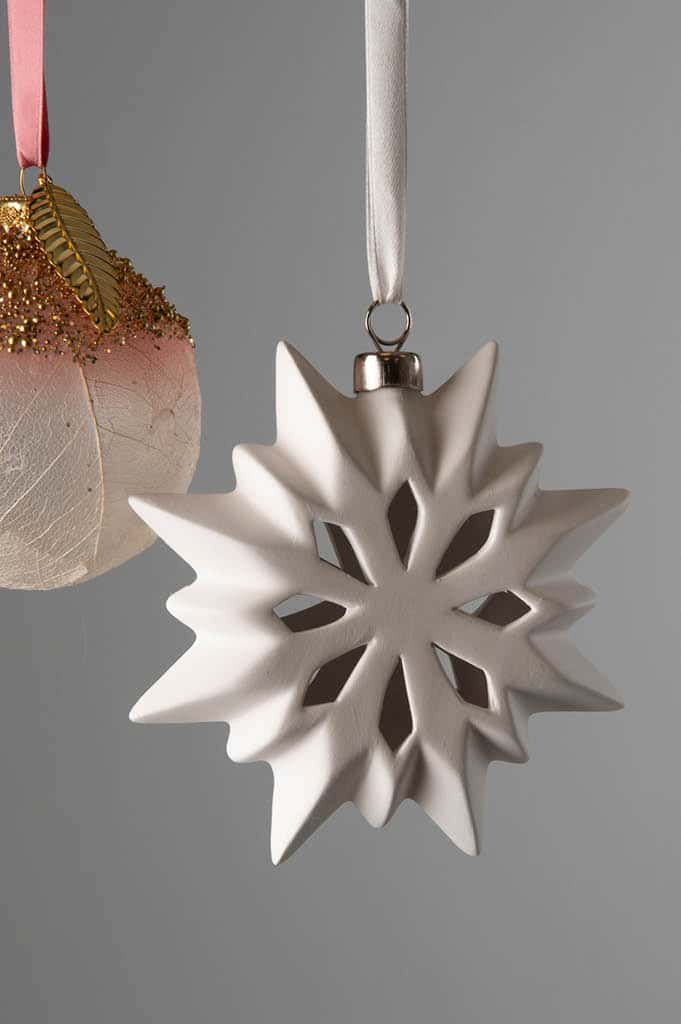 Haenger-Stern-Leonis2