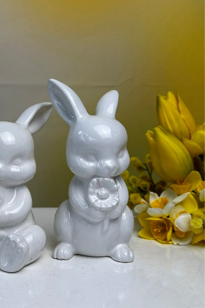 Hase Finja stehend (1)