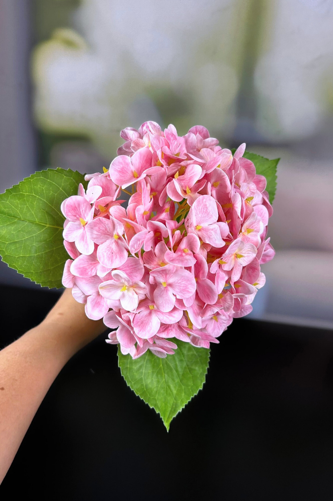 Hortensienbusch pink