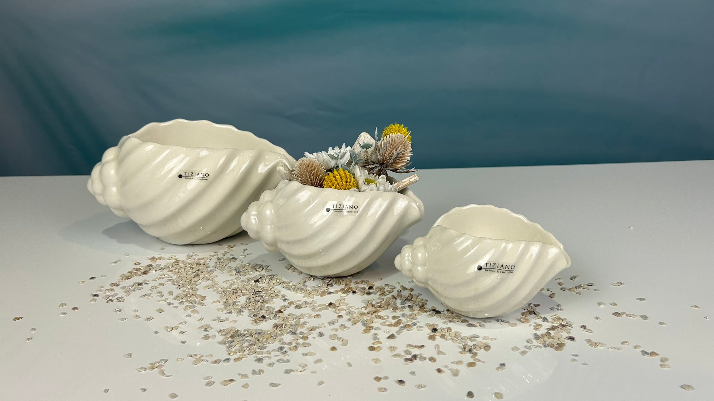 Muschelschale Capella creme-weiß