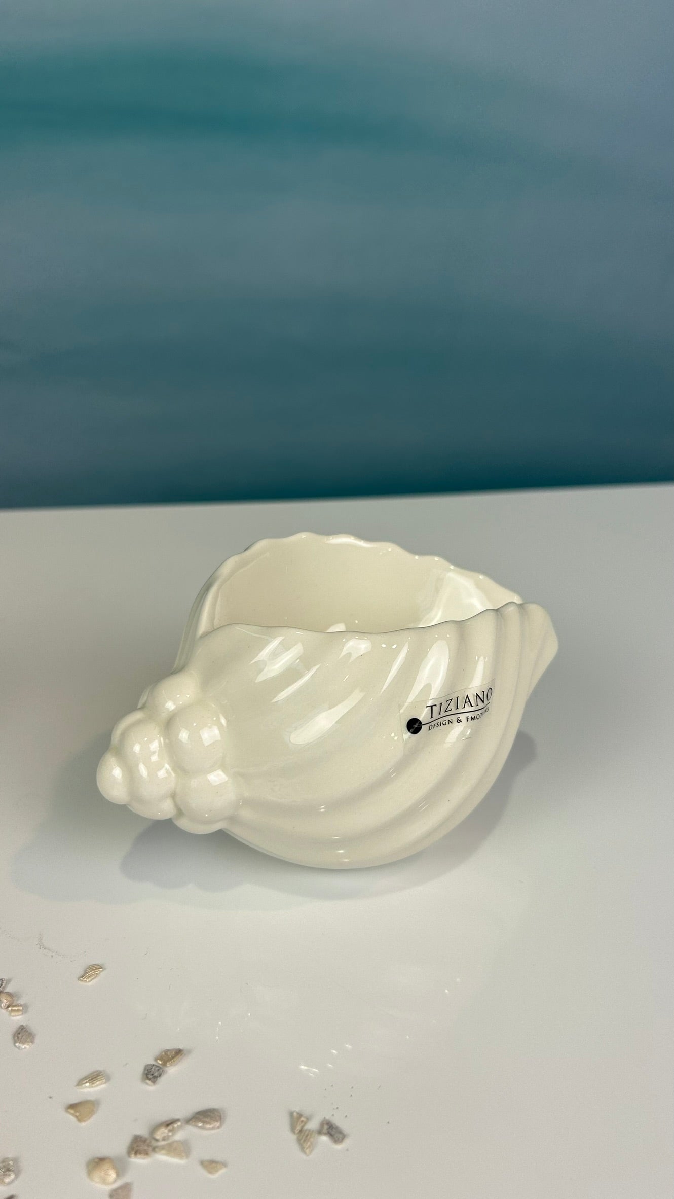 Muschelschale Capella creme-weiß