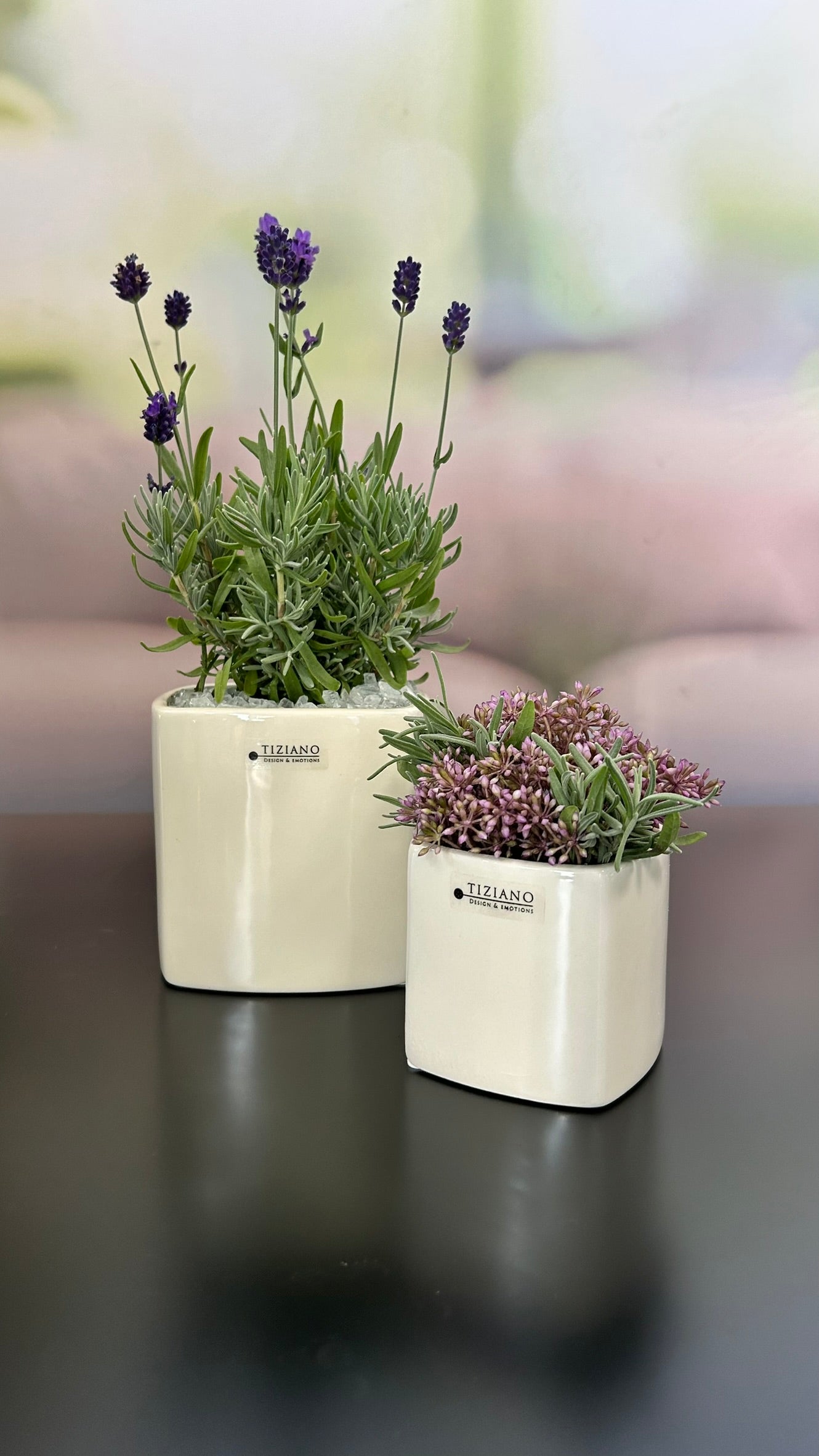 Minikübel Brezone 7cm creme-weiß