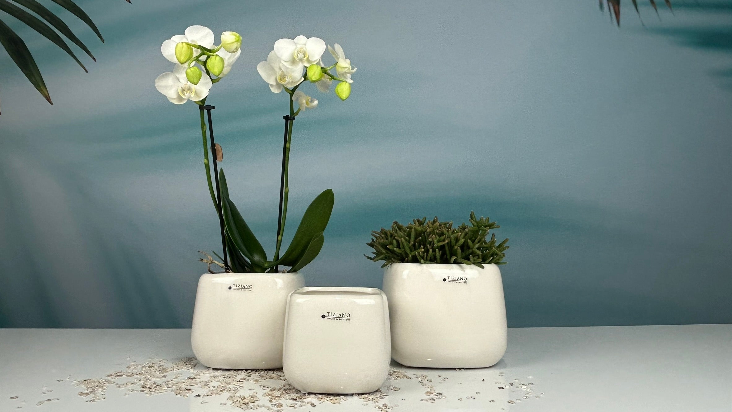 Minikübel Brezone 7cm creme-weiß