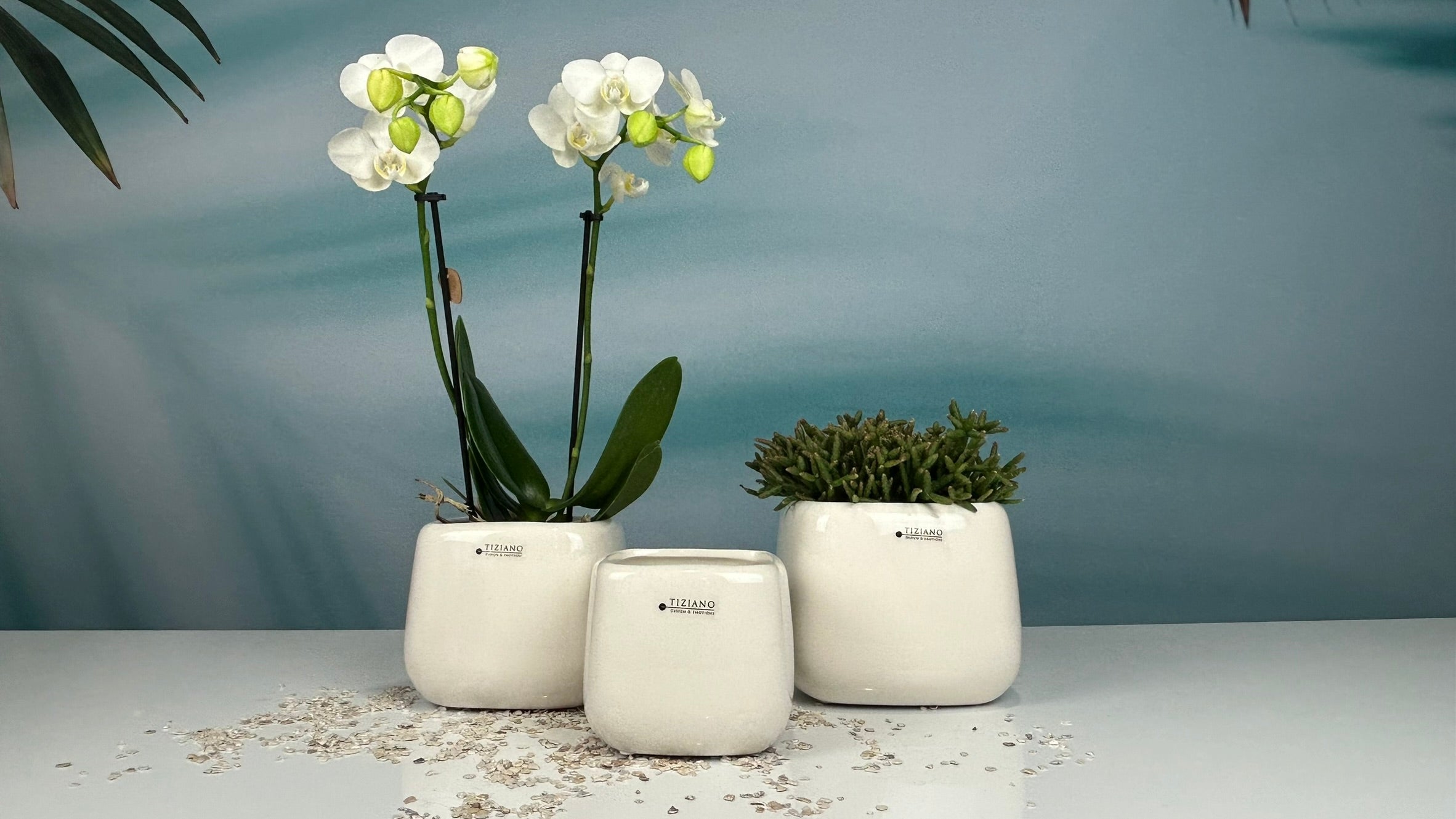 Minikübel Brezone 7cm creme-weiß