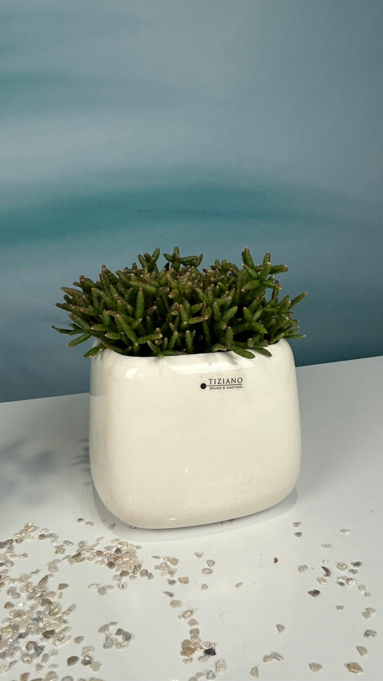 Minikübel Brezone 7cm creme-weiß