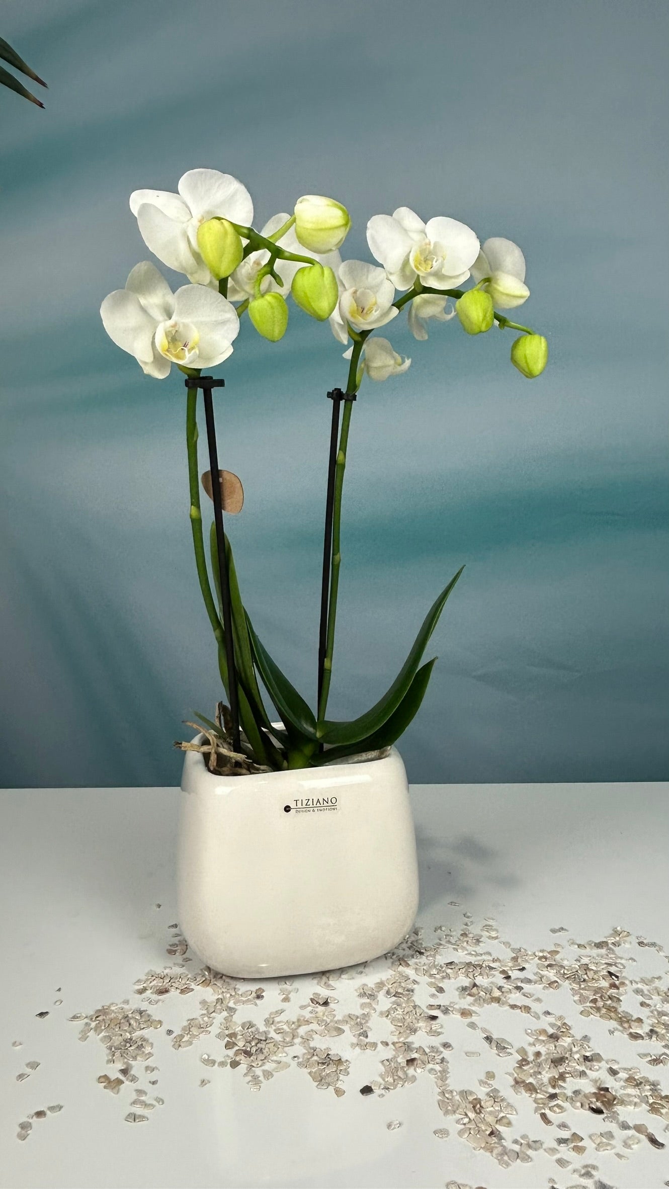 Minikübel Brezone 7cm creme-weiß