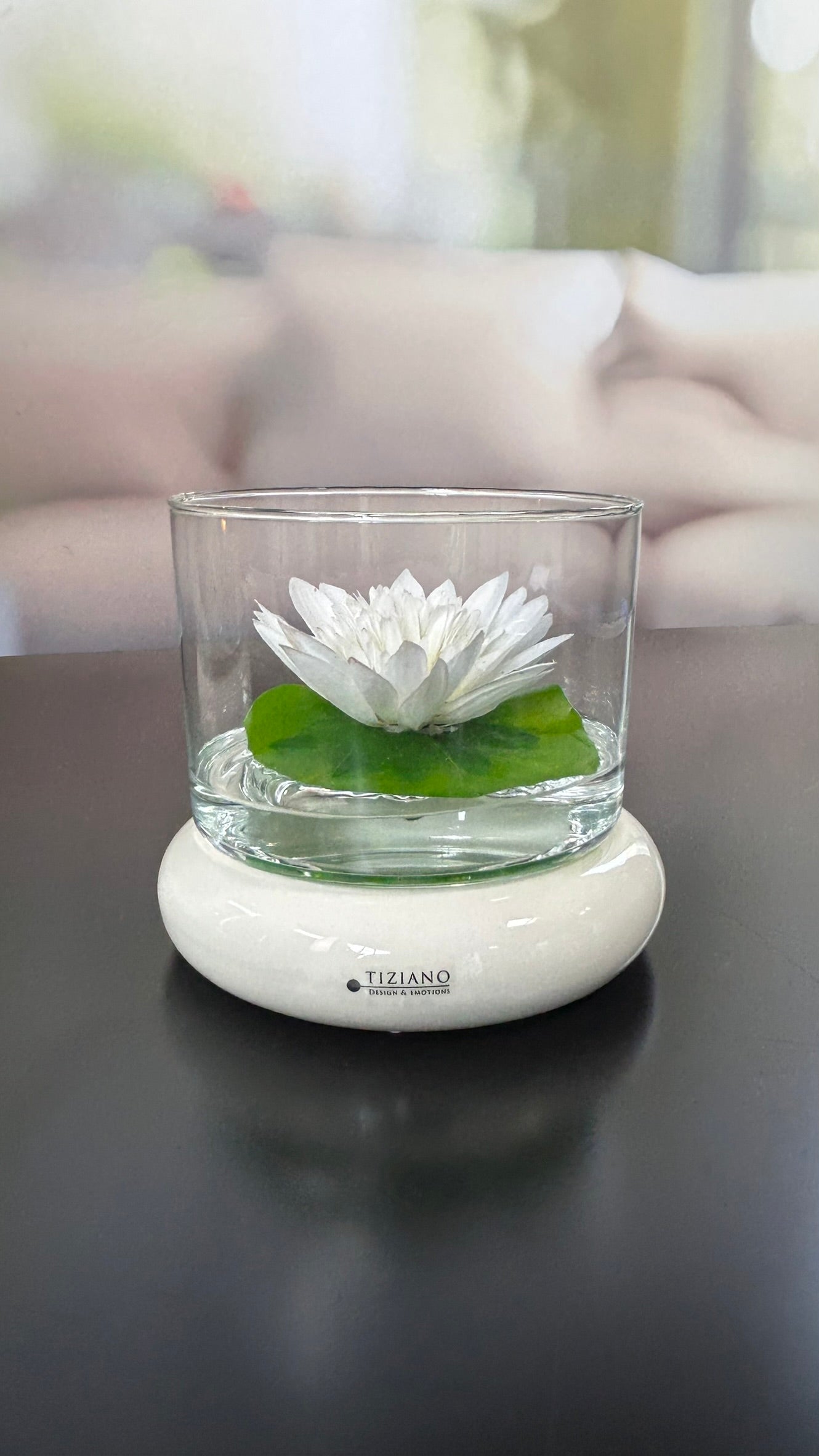 Dekoset Windlicht Forlie mit Seerose